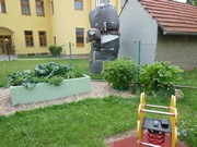 Zahrádka ve školce